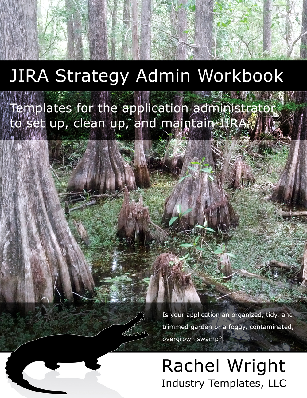 Jira Strategy Admin Workbook