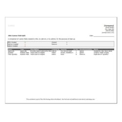 JIRA Custom Field Audit