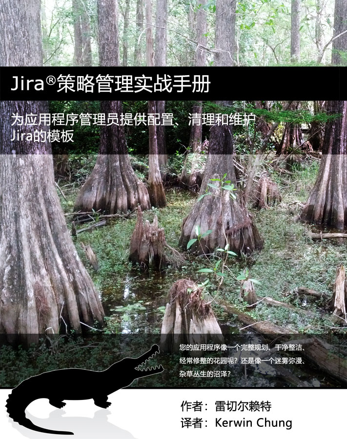 Jira Strategy Admin Workbook Simplified Chinese